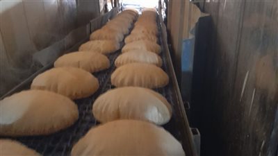 إحالة 52 محضرًا بمخالفات المخابز والأسواق للنيابة العامة في الدقهلية