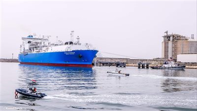 تداول 19 سفينة بضائع متنوعة بميناء دمياط 