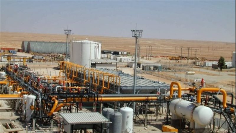 شركة البتروكيماويات