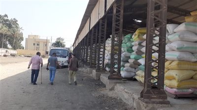  توريد 29 ألفا و102 طن أرز لشون محافظة البحيرة | صور