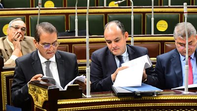 نواب يواجهون وزير الصناعة بأزمة نقص أعلاف الدواجن وتكدس البضائع بالموانئ