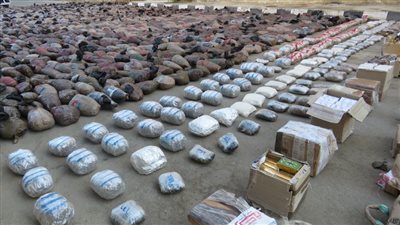 إحباط تهريب 10 أطنان مخدرات بـ270 مليون جنيه في السويس