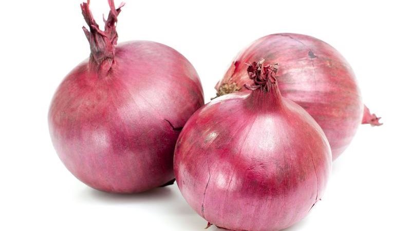 فوائد البصل الاحمر