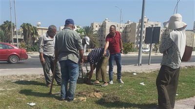 حي العجمي يشارك في مبادرة 100 مليون شجرة بالإسكندرية