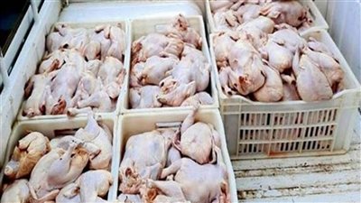 ضبط 7 أطنان هياكل دواجن فاسدة في ثلاجة غير مرخصة بالجيزة