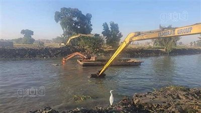 تعرف على مجالس المياه وفقا لقانون الموارد المائية والرى