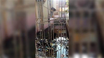 باب النجار مخلع.. وحدة صحية تسبح على بركة من مياه الصرف في القليوبية | صور 