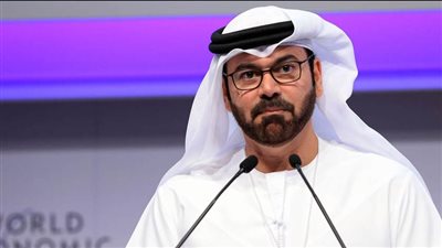 محمد القرقاوي: مصر والإمارات قلب واحد