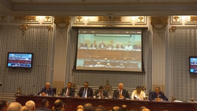 وزير الزراعة عن أزمة إعدام الكتاكيت: مش بنتحرك علشان فيديو