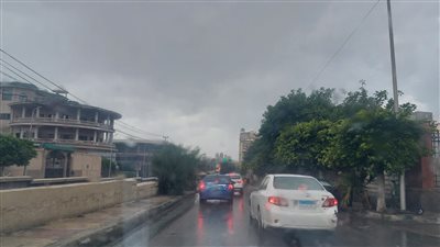 5 صور ترصد هطول أمطار في الإسكندرية