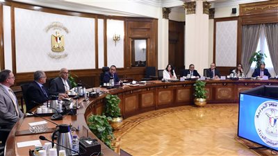 أبرز قرارات مجلس الوزراء الصادرة خلال أسبوع| إنفوجراف