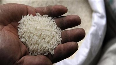 التموين: حصيلة توريد الأرز الشعير 115 ألف طن واشتراك 65% من المضارب حتى الآن 