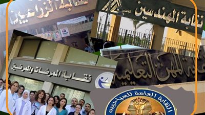 بعد الزيادة الأخيرة.. تعرف على معاش النقابات المهنية | إنفوجراف 