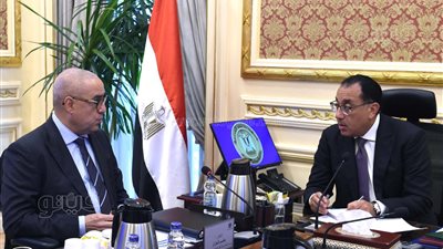 الحكومة تستعد لطرح قطع أراض ووحدات سكنية للمصريين في الخارج