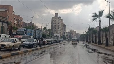 رعدية في بعض المناطق.. خريطة سقوط الأمطار غدا السبت