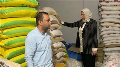 أطنان من السلع الغذائية.. حملات على الأسواق تحرر 508 قضايا بالمحافظات 