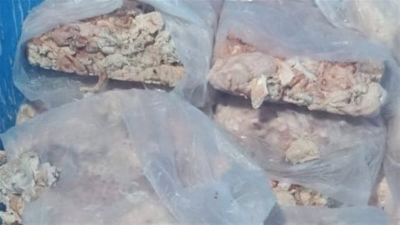 ضبط دهون فاسدة بالجيزة