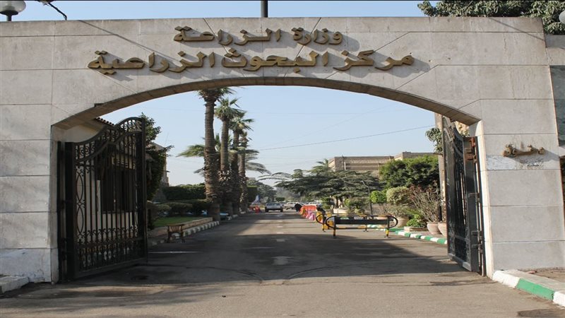البحوث الزراعية 