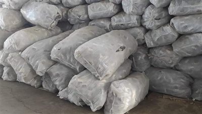 ضبط 15 ألف علبة جبن مطبوخ غير صالحة للاستهلاك الآدمي بالقناطر الخيرية