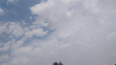 أمطار خفيفة وغيوم كثيفة.. محافظة أسيوط تشهد موجة من الطقس السيئ 