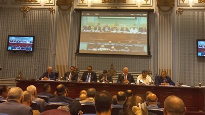 زراعة البرلمان: استجابة الحكومة لتوصية اللجنة تؤكد حرصها على حل أزمة الدواجن وانخفاض الأسعار