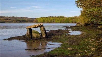 اكتشاف مقبرة تعود إلى ما قبل التاريخ بأيرلندا