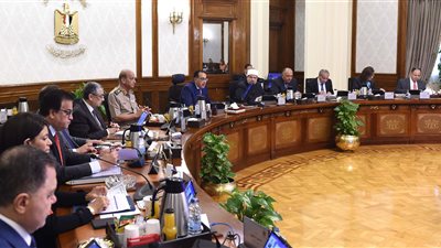 الحكومة تقرر طرح مرحلة تكميلية من مشروع بيت الوطن للمصريين بالخارج 