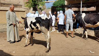 جامعة مدينة السادات تطلق قافلة بيطرية لقرية 