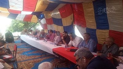 بالأرقام..تعرف على تفاصيل آخر مزاد علني للقطن بالشرقية