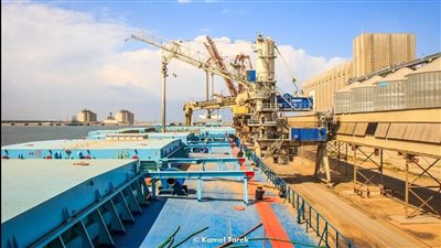 تداول 22 سفينة بضائع متنوعة بميناء دمياط 