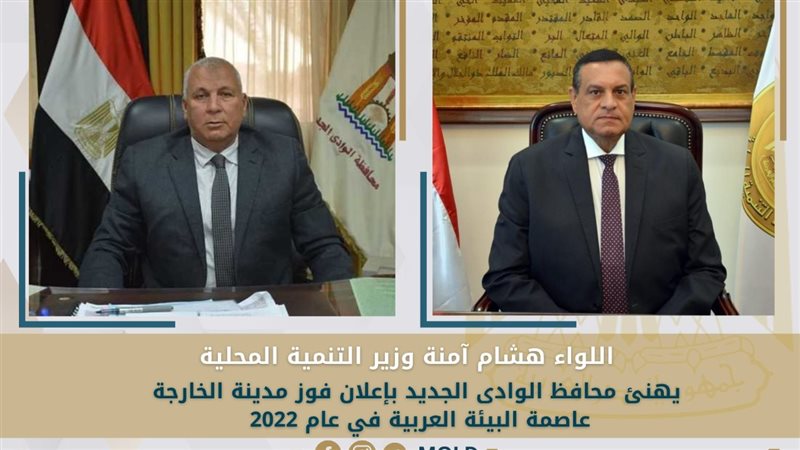 وزير التنمية المحلية
