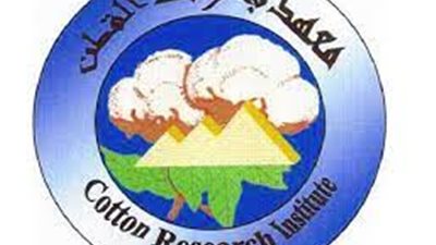 معهد بحوث القطن ينظم زيارة لمتدربين أفارقة بمصانع الغزل والنسيج