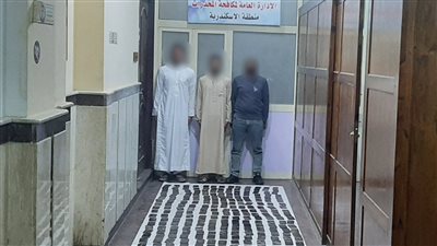 إحباط ترويج 380 طربة حشيش وكمية من الهيروين في الإسكندرية 