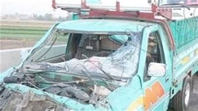 نيابة الجيزة تستمع لأقوال أسرة عامل دهسه سائق نقل في العياط 