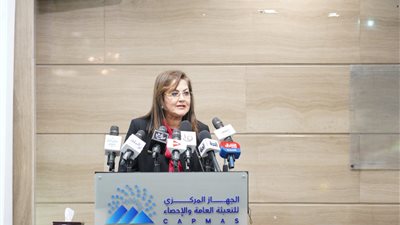 وزيرة التخطيط: البيانات الإحصائية الدقيقة جزء أساسي من الثروة الوطنية