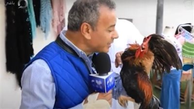 موقف طريف لـ  جابر القرموطي مع الديك المزعج في 