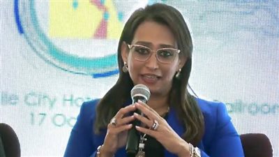 مستشار رئيس الوزراء: تحدث الحكومة في المؤتمر الاقتصادي أقل من المستثمرين