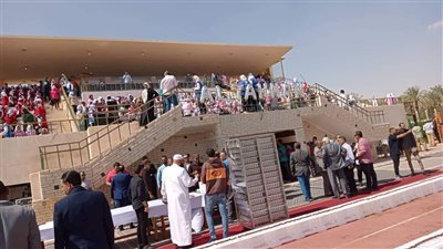 الوادي الجديد تنظم أطول سلسلة تمور استعدادًا لدخول موسوعة جينيس | صور 