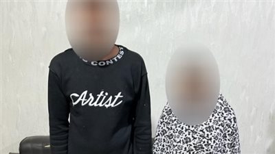 ربة منزل تتفق مع عشيقها على قتل زوجها بالإسكندرية 