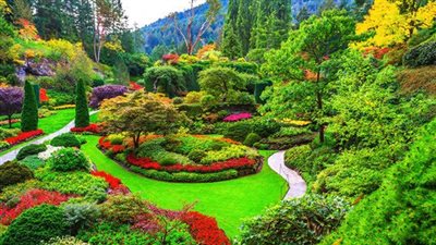 تفسير حلم الحديقة في المنام وعلاقته بالمصاعب والهموم وكثرة الديون 