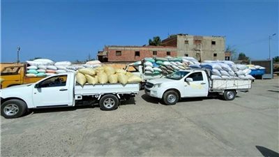 زراعة الشرقية: توريد 18 ألف طن أرز للصوامع