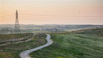 الأردن توقع مذكرة تفاهم للحد من صعق الكهرباء للطيور