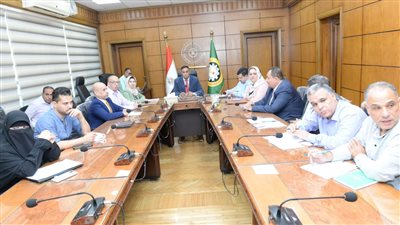 محافظ الدقهلية: دراسة زراعة أسطح المباني واستغلال مياه محطات الطاقة الشمسية