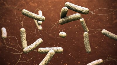 قرار جديد من الصحة اللبنانية للتعامل مع تفشي الكوليرا