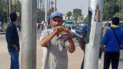 نشرة الجيزة اليوم: تركيب أسلاك وأبواب بأعمدة الإنارة وغلق 5 منشآت سياحية | صور