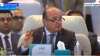 رئيس المجلس التصديري للصناعات الغذائية: مصر أكبر مصدر للفراولة المجمدة في العالم