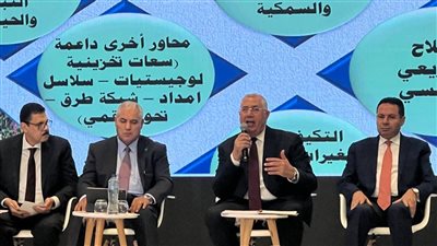 وزير الزراعة: الدولة أنفقت المليارات لتحقيق الأمن الغذائي للمواطنين