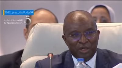 مؤسسة التمويل الدولية: استثمرنا 5 مليارات دولار في مصر منذ عام 2005 حتى الآن