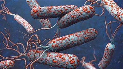 الأمم المتحدة: سوريا تشهد تفشيا سريعا لوباء الكوليرا