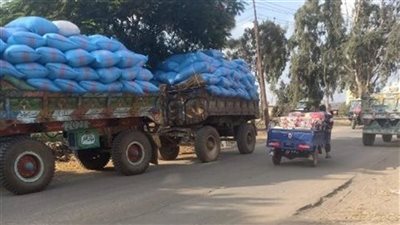 إنذارات ومحاضر ضد أصحاب حيازات زراعية لعدم توريد الأرز بالشرقية